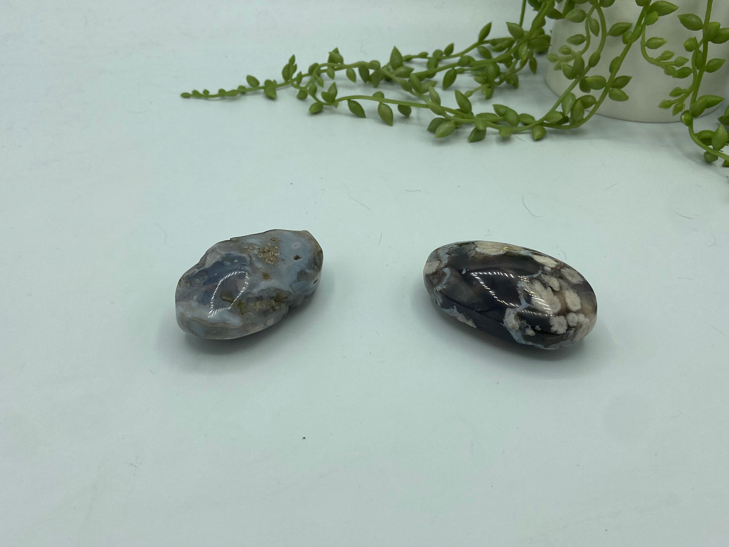 Black Flower Agate Palm Stone, Flower Agate Pebble