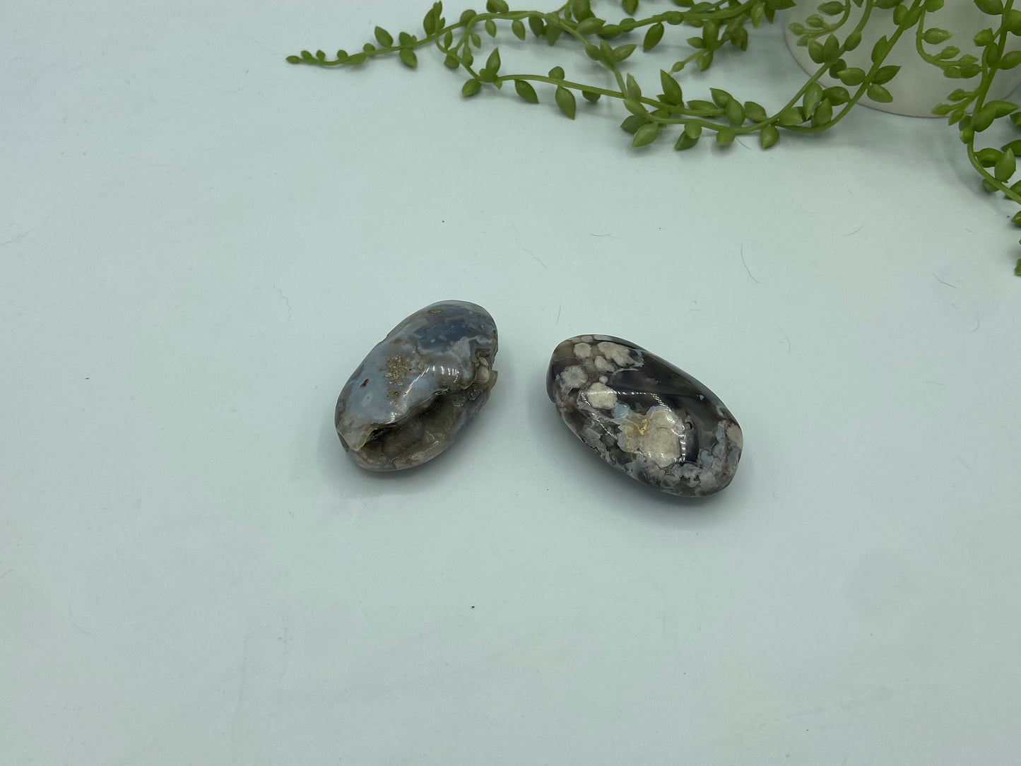 Black Flower Agate Palm Stone, Flower Agate Pebble