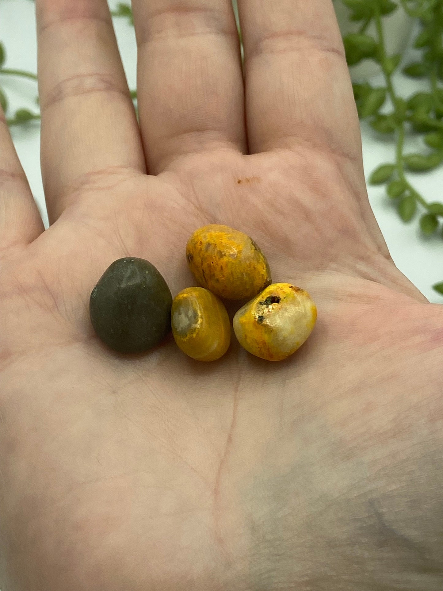 Bumblebee Jasper Tumble (B Grade quality), Tumbled Bumblebee Jasper, Healing Bumblebee Jasper, Bumblebee crystal