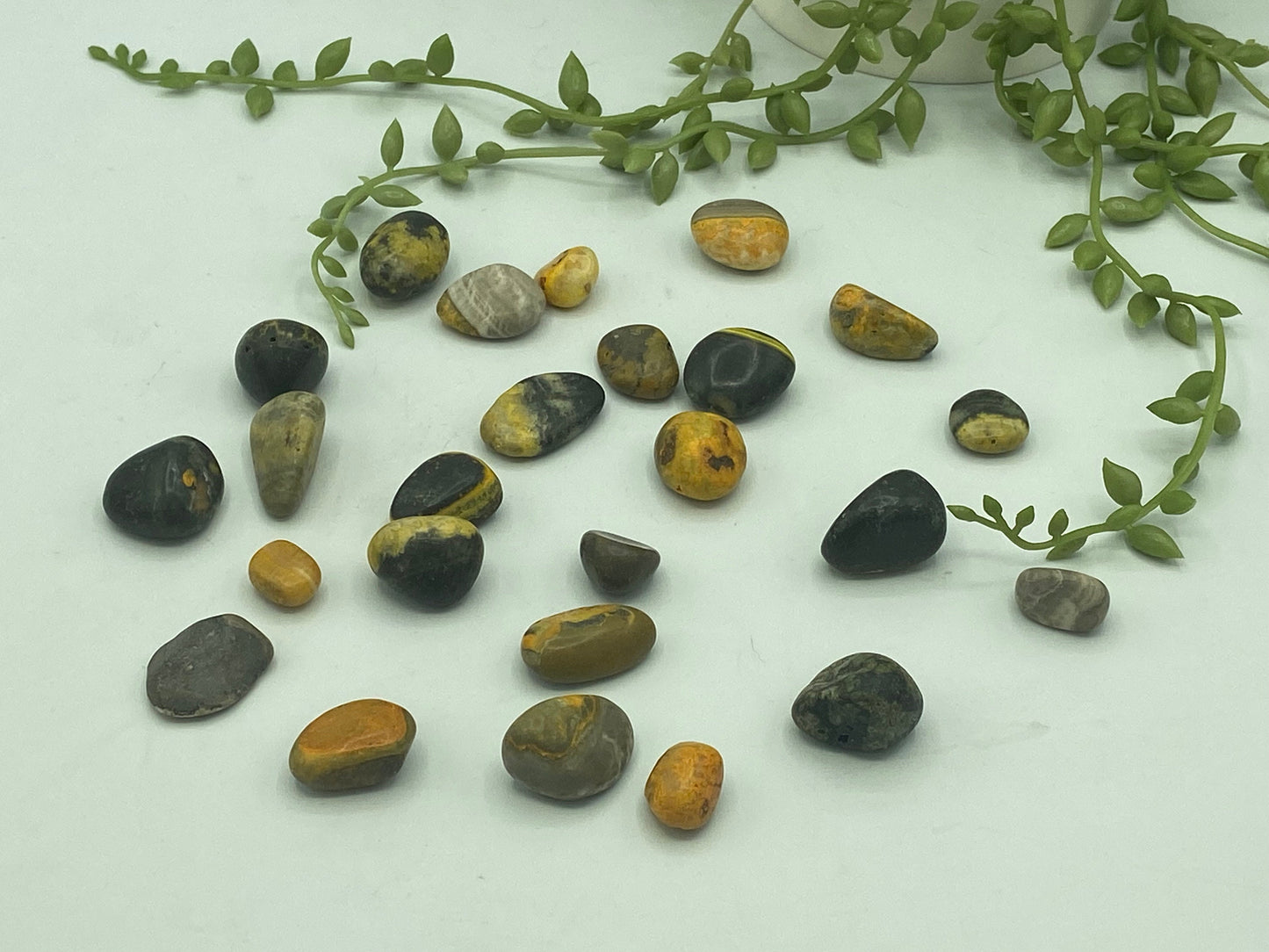 Bumblebee Jasper Tumble (B Grade quality), Tumbled Bumblebee Jasper, Healing Bumblebee Jasper, Bumblebee crystal