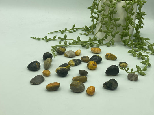 Bumblebee Jasper Tumble (B Grade quality), Tumbled Bumblebee Jasper, Healing Bumblebee Jasper, Bumblebee crystal