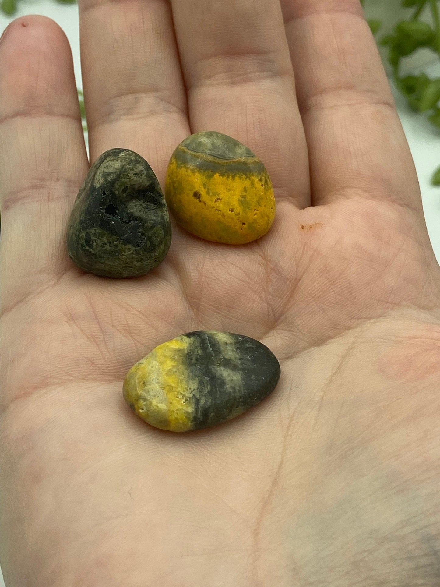 Bumblebee Jasper Tumble (B Grade quality), Tumbled Bumblebee Jasper, Healing Bumblebee Jasper, Bumblebee crystal