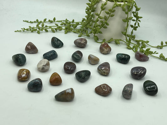 Ocean Jasper tumbles, tumble stones, ocean Jasper Crystal, Jasper stone, orbicular jasper