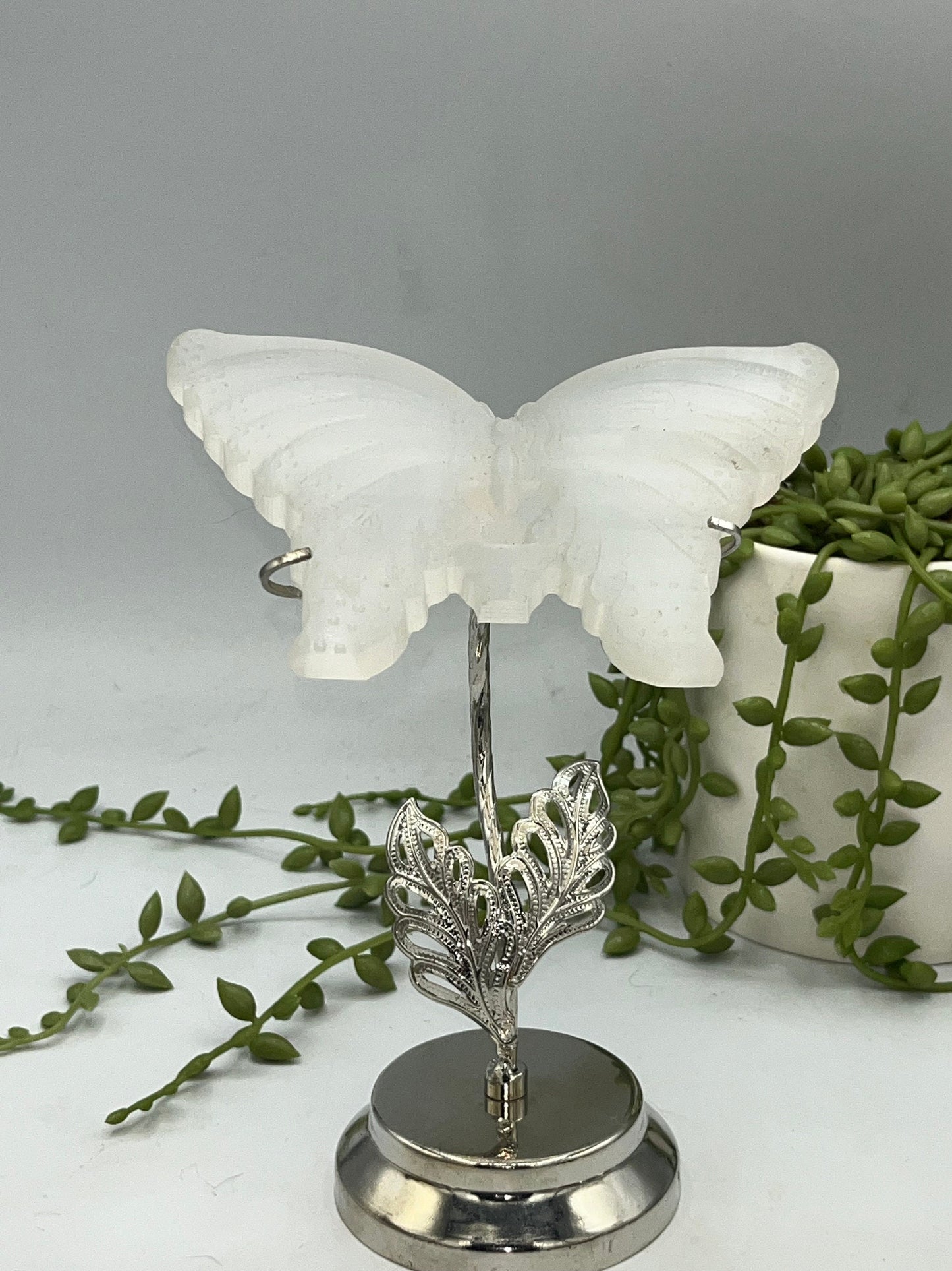 Selenite carved butterfly on stand, satin spar, gypsum, butterfly carved crystal, stand included