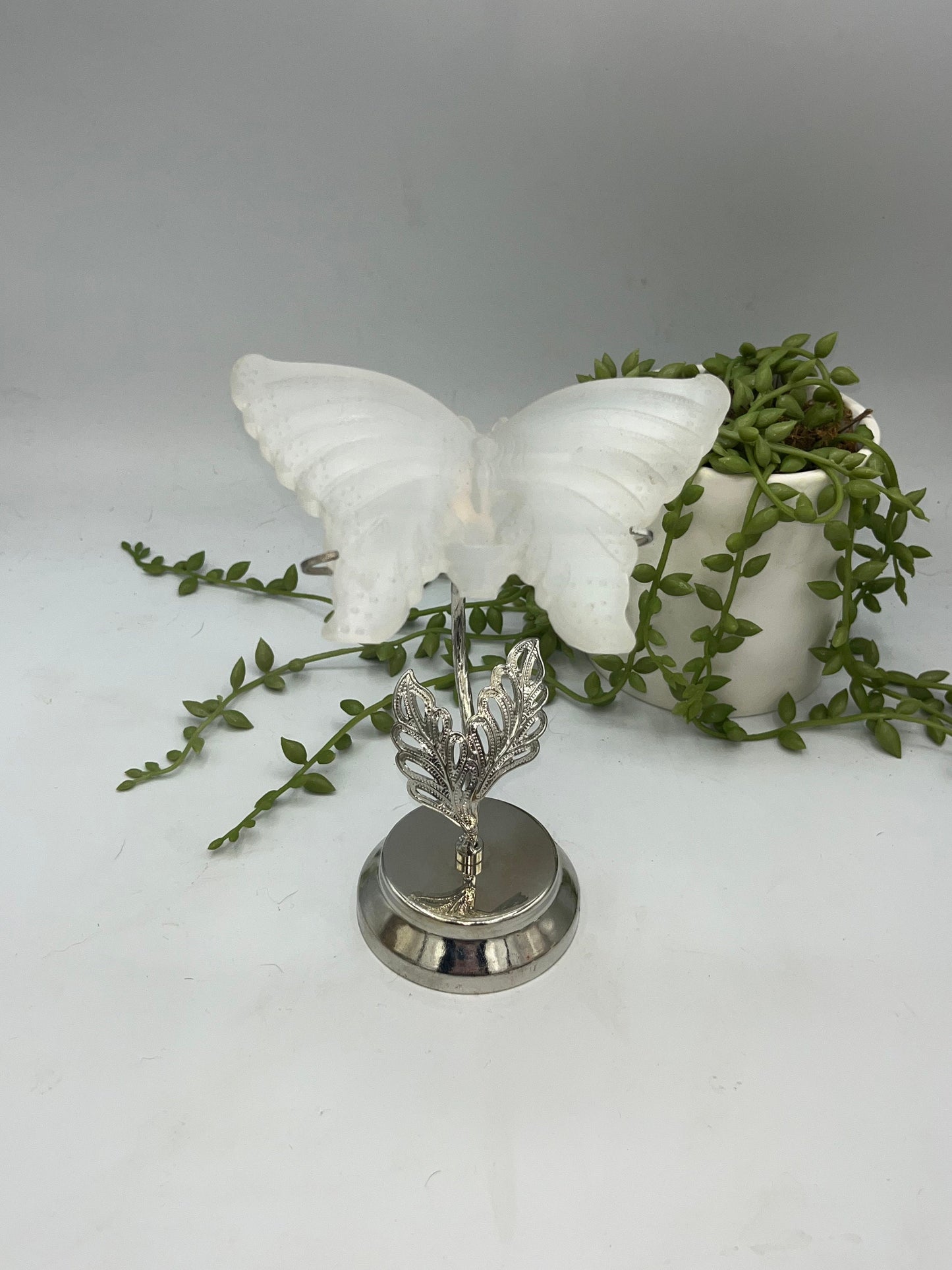 Selenite carved butterfly on stand, satin spar, gypsum, butterfly carved crystal, stand included