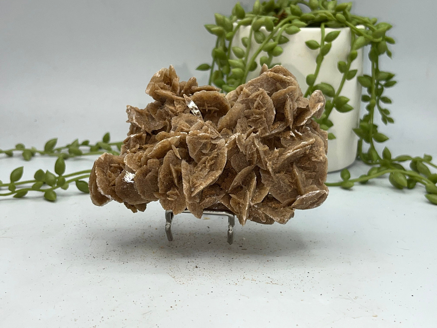 Selenite Desert Rose from Morocco. Sand Rose, Sahara Rose, Rose Rock, Selenite Rose, Gypsum Rose, Baryte (Barite) Rose. 180 grams