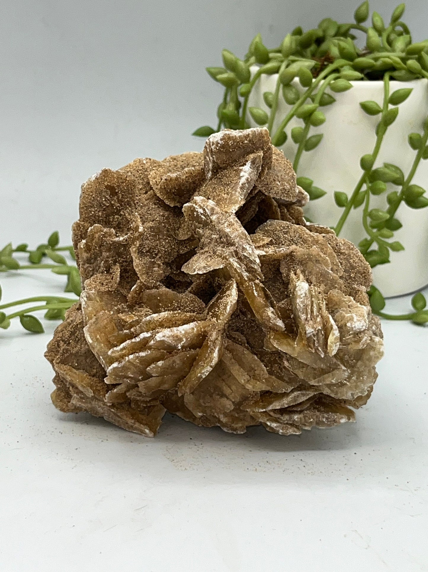 Selenite Desert Rose from Morocco. Sand Rose, Sahara Rose, Rose Rock, Selenite Rose, Gypsum Rose, Baryte (Barite) Rose. 530 grams