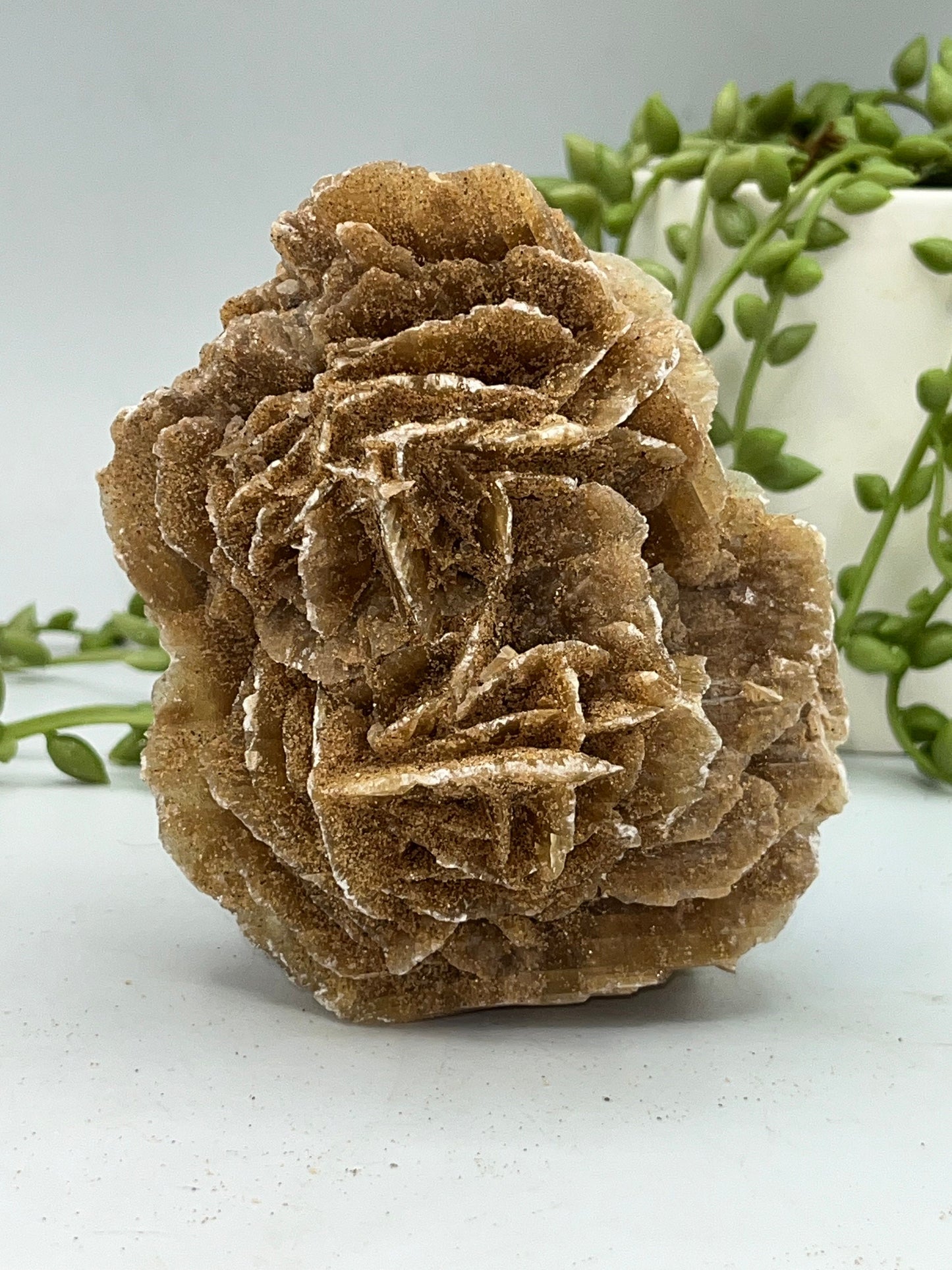 Selenite Desert Rose from Morocco. Sand Rose, Sahara Rose, Rose Rock, Selenite Rose, Gypsum Rose, Baryte (Barite) Rose. 380 grams