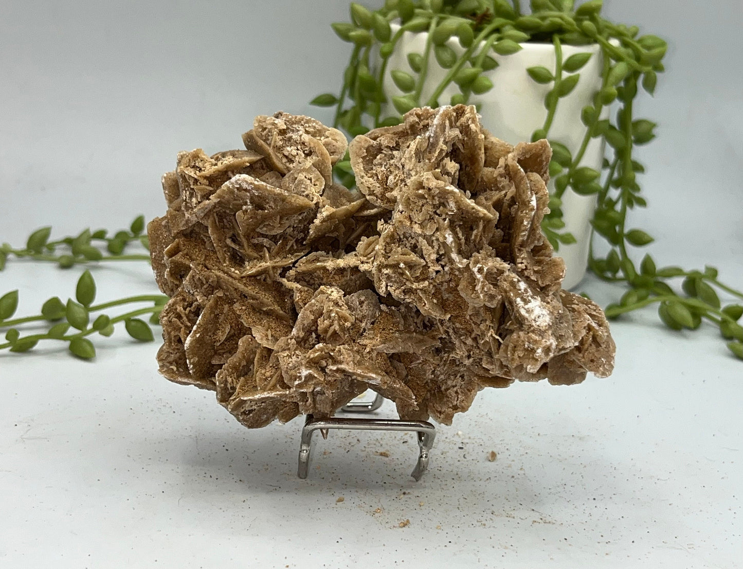 Selenite Desert Rose from Morocco. Sand Rose, Sahara Rose, Rose Rock, Selenite Rose, Gypsum Rose, Baryte (Barite) Rose. 180 grams