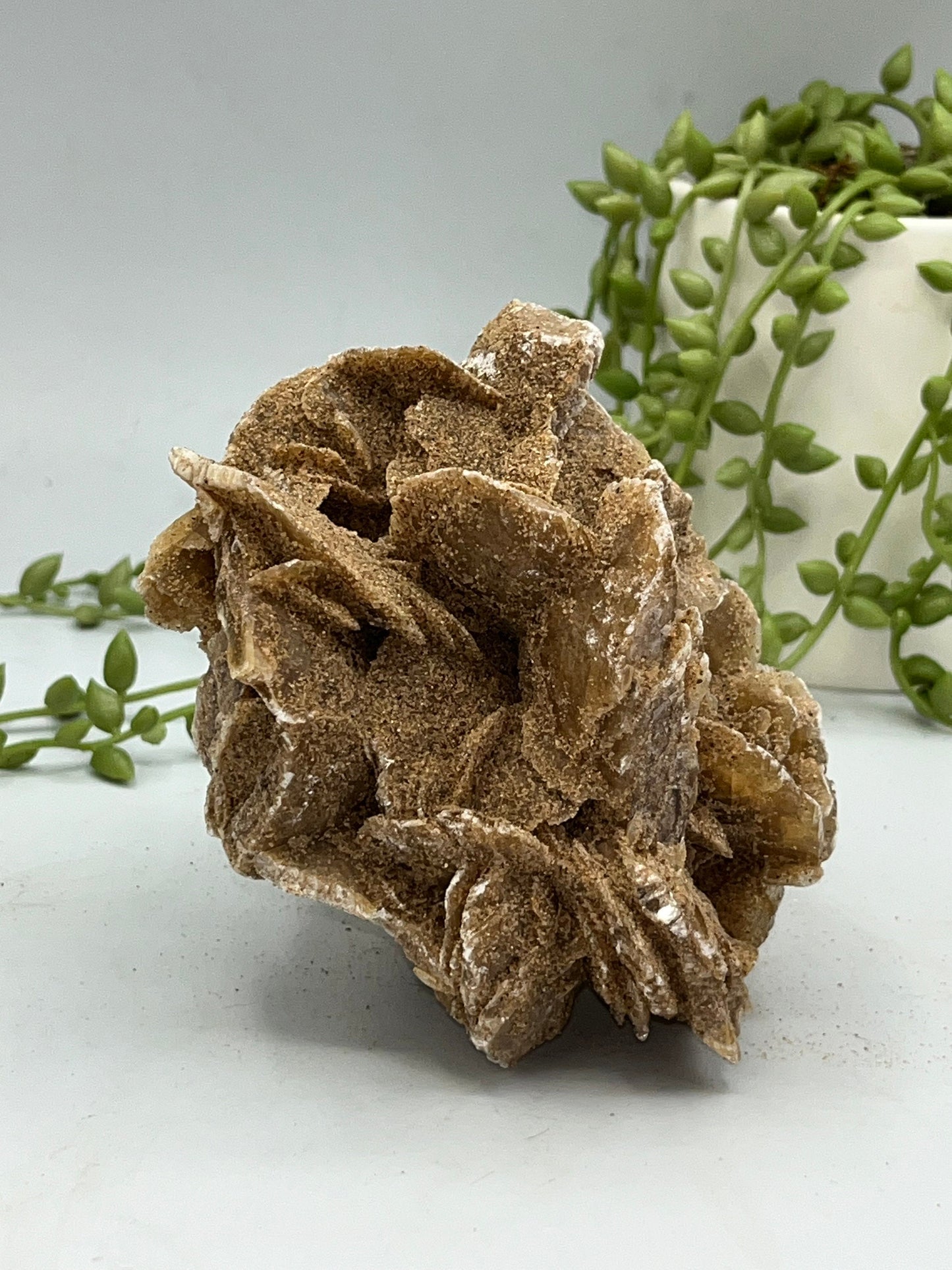 Selenite Desert Rose from Morocco. Sand Rose, Sahara Rose, Rose Rock, Selenite Rose, Gypsum Rose, Baryte (Barite) Rose. 530 grams