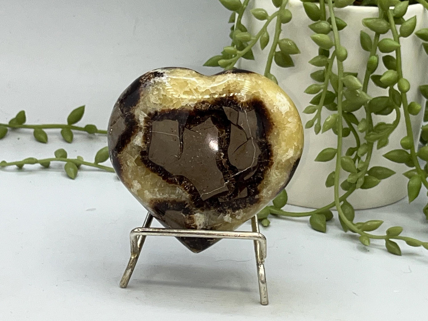 Septarian Crystal Puffed Heart (F,) Dragon Stone, Palm Stone, Yellow Calcite, Aragonite, Limestone, Beetle Stone, Turtle Stone