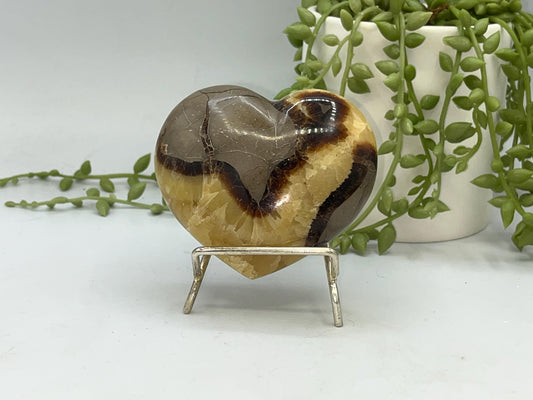 Septarian Crystal Puffed Heart (A,) Dragon Stone, Palm Stone, Yellow Calcite, Aragonite, Limestone, Beetle Stone, Turtle Stone