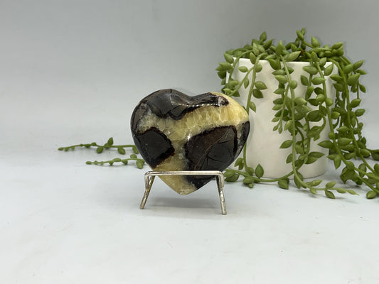 Septarian Crystal Puffed Heart (D,) Dragon Stone, Palm Stone, Yellow Calcite, Aragonite, Limestone, Beetle Stone, Turtle Stone