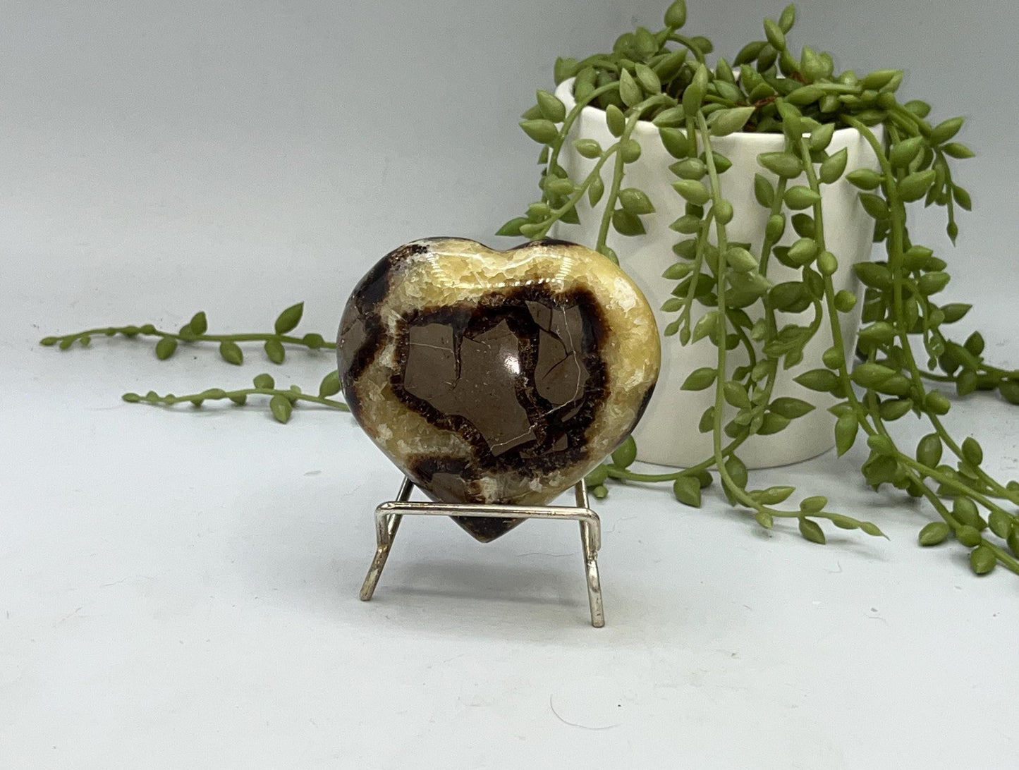 Septarian Crystal Puffed Heart (F,) Dragon Stone, Palm Stone, Yellow Calcite, Aragonite, Limestone, Beetle Stone, Turtle Stone