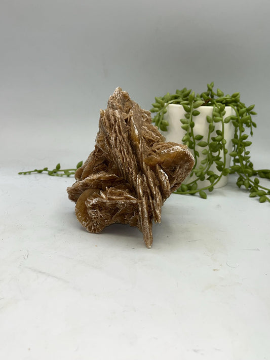 Selenite Desert Rose from Morocco. Sand Rose, Sahara Rose, Rose Rock, Selenite Rose, Gypsum Rose, Baryte (Barite) Rose. 1 kilogram
